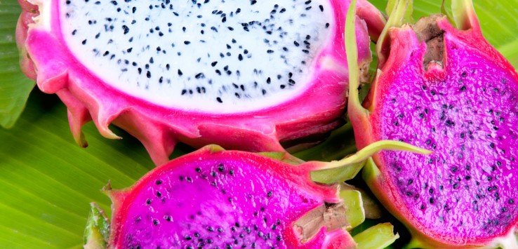 Pitaya, frutto del drago, antiossidante, eritema solare, eritema solare rimedi, scottature, skin care