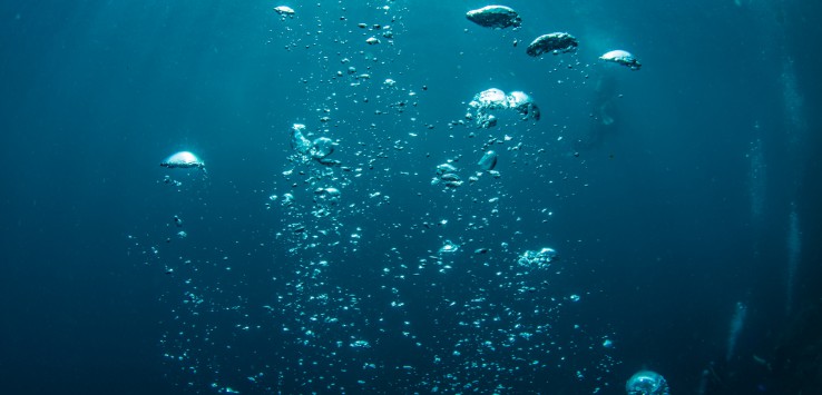 Dagli abissi oceanici un batterio antiage