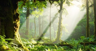 In occasione della Giornata Mondiale dell’Ambiente, Faravelli racconta il suo impegno verso un futuro più sostenibile, tra filiere responsabili, upcycling e certificazioni ambientali.