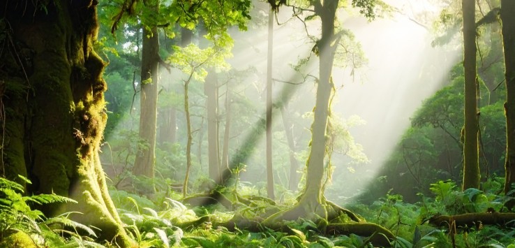 In occasione della Giornata Mondiale dell’Ambiente, Faravelli racconta il suo impegno verso un futuro più sostenibile, tra filiere responsabili, upcycling e certificazioni ambientali.